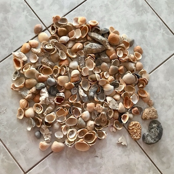 Custom shell bundle — PLEASE READ - Picture 1 of 16